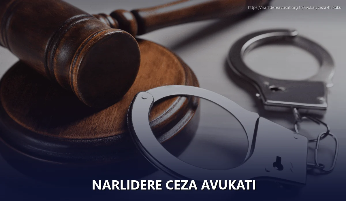 Narlidere Ceza Avukatı