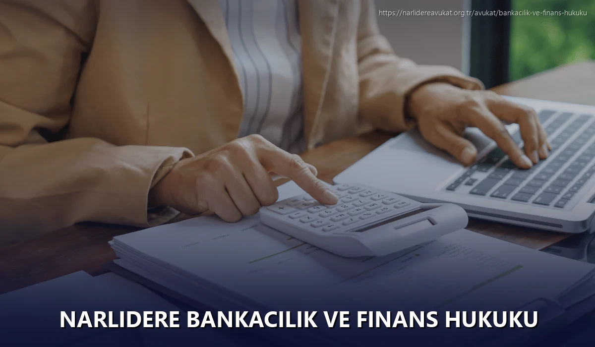 Narlidere Bankacılık ve Finans Hukuku